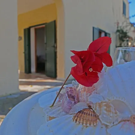 Apartment 300mt Spiaggia